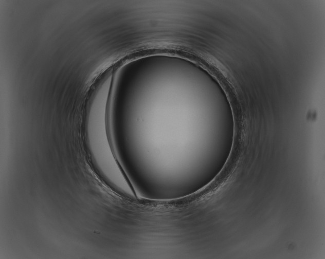 X0000090970922200708241312