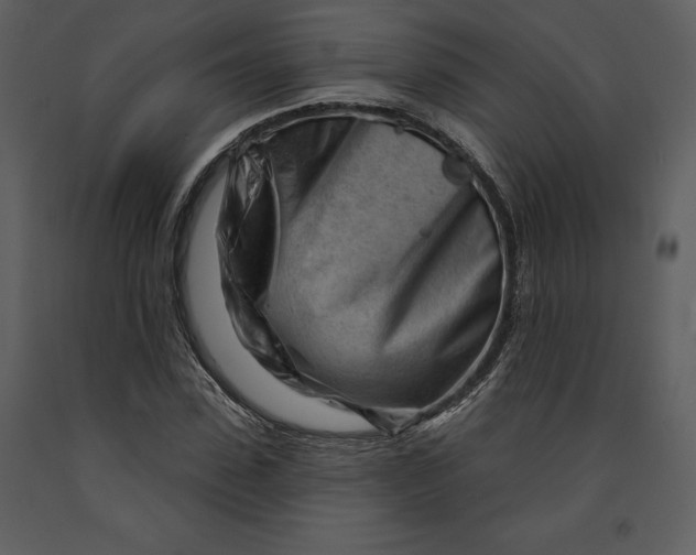 X0000090970923200708241312