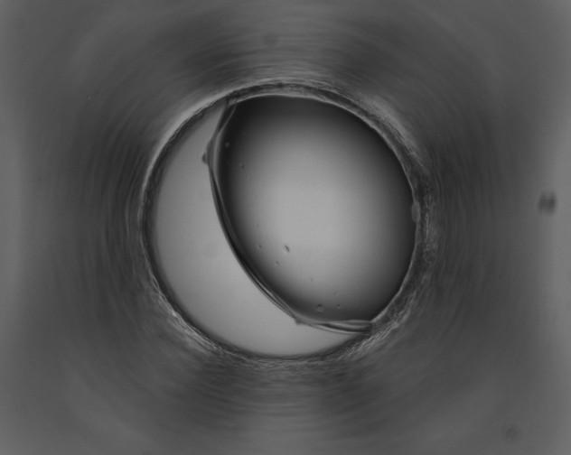 X0000090970924200708241312