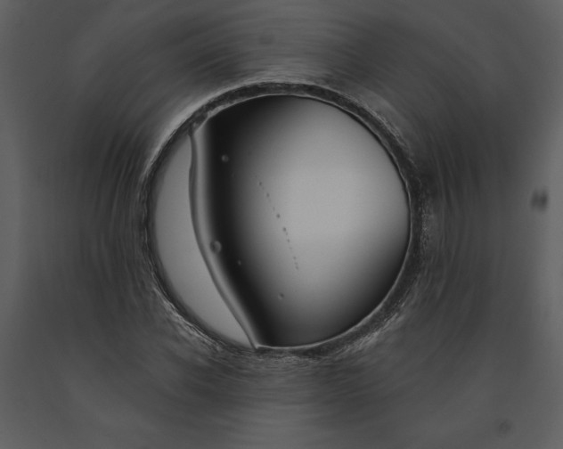 X0000090970926200708241312