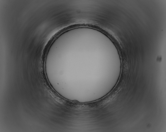 X0000090970927200708241312