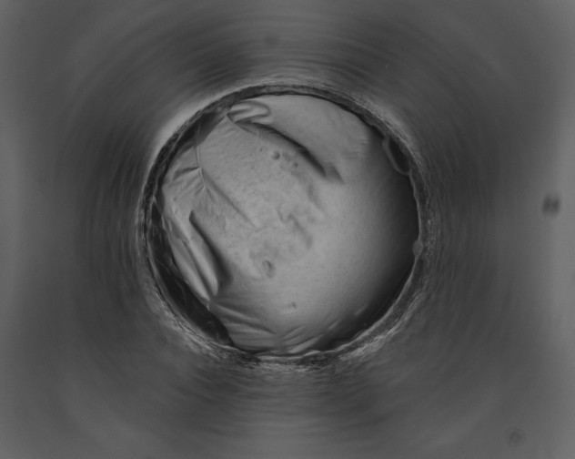 X0000090970928200708241312