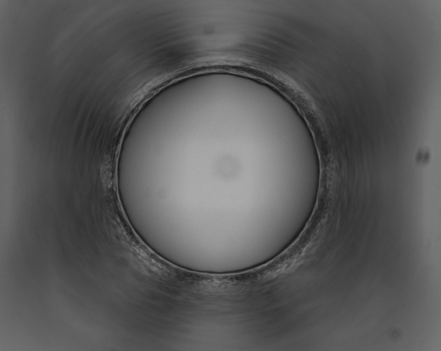 X0000090970929200708241312