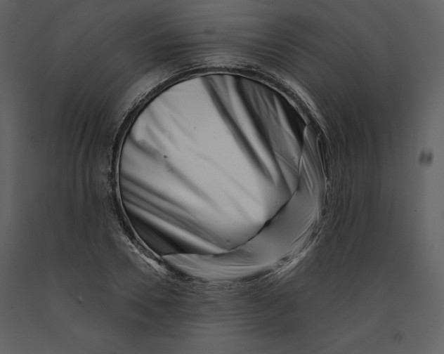 X0000090970930200708241312