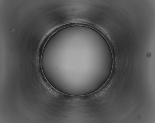 X0000090970931200708241312