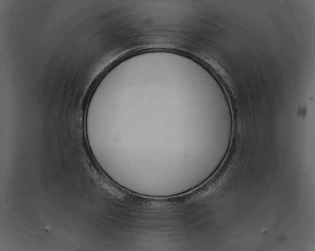 X0000090970933200708241312