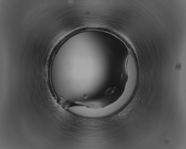 X0000090970935200708241312