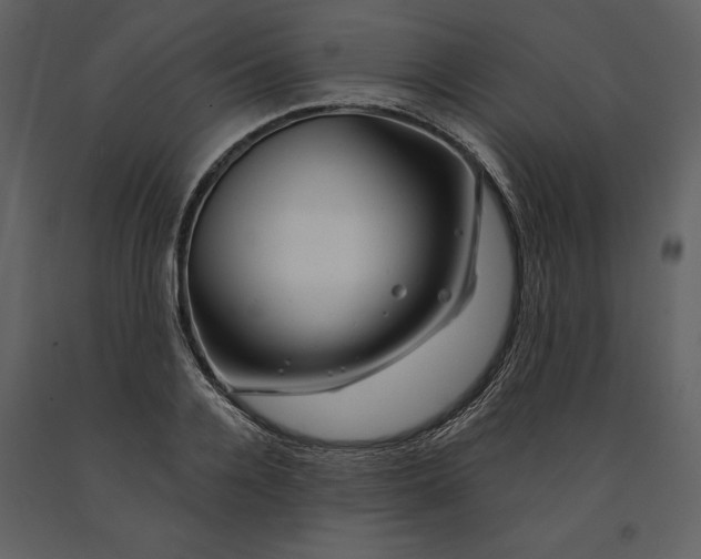 X0000090970936200708241312