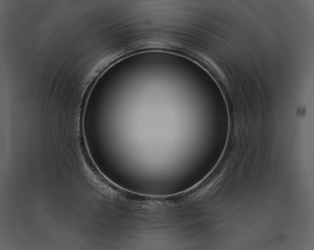 X0000090970938200708241312