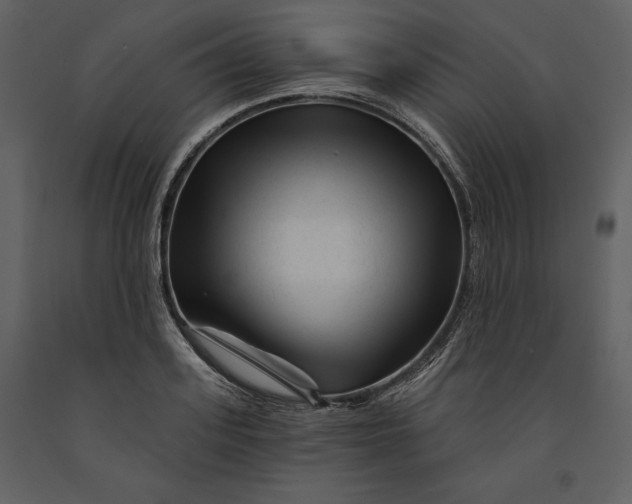 X0000090970939200708241312