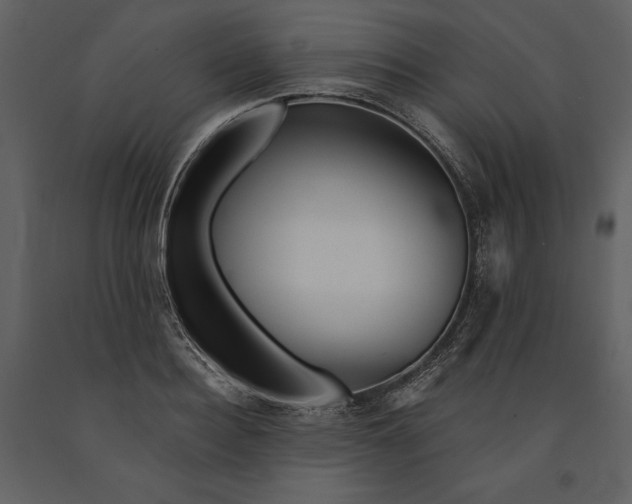 X0000090970940200708241312