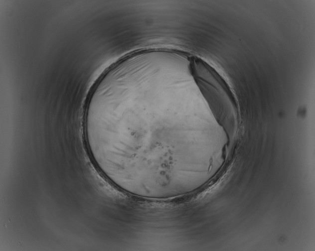 X0000090970941200708241312