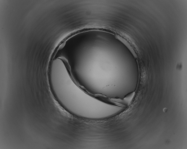 X0000090970942200708241312