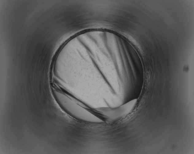 X0000090970943200708241312