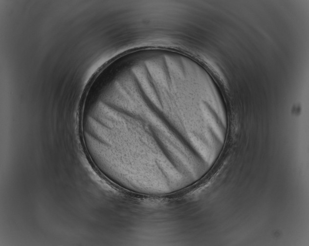 X0000090970944200708241312