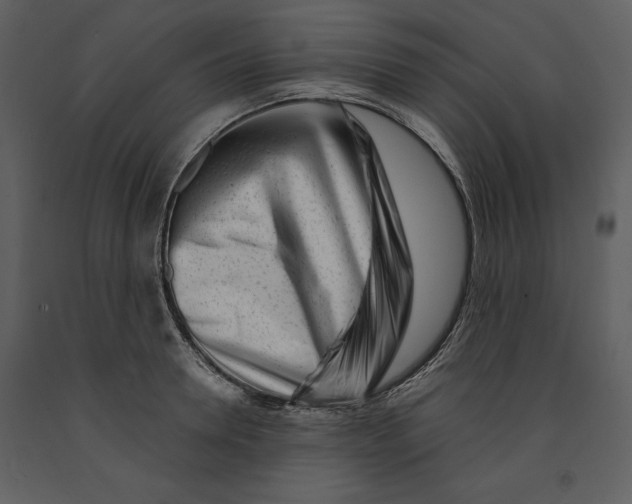 X0000090970946200708241312