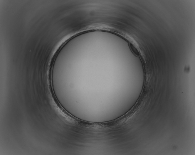 X0000090970947200708241312