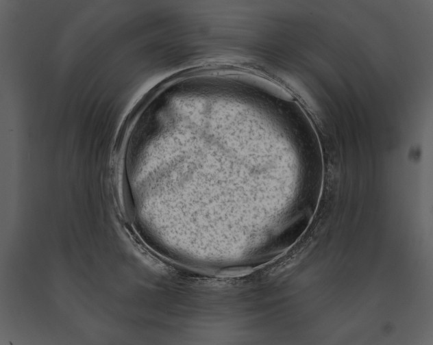 X0000090970948200708241312