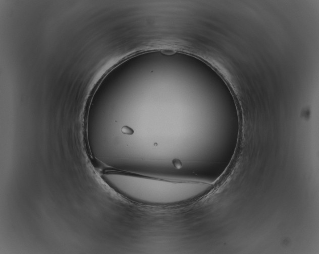 X0000090970949200708241312