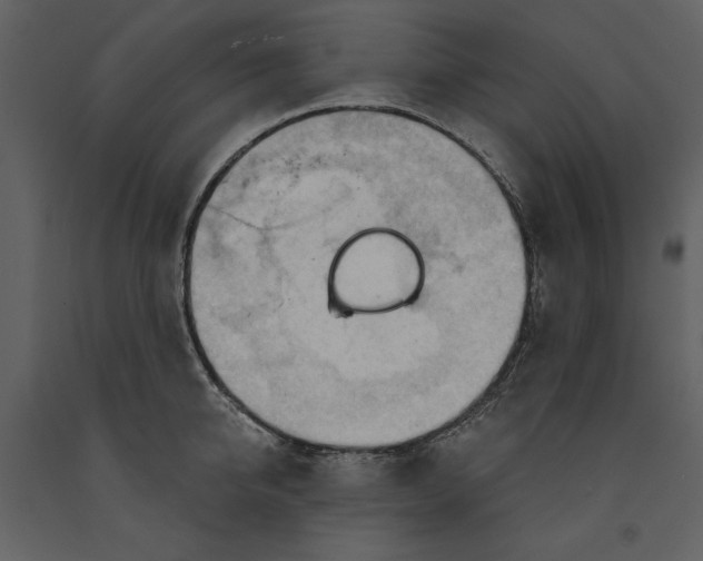 X0000090970950200708241312