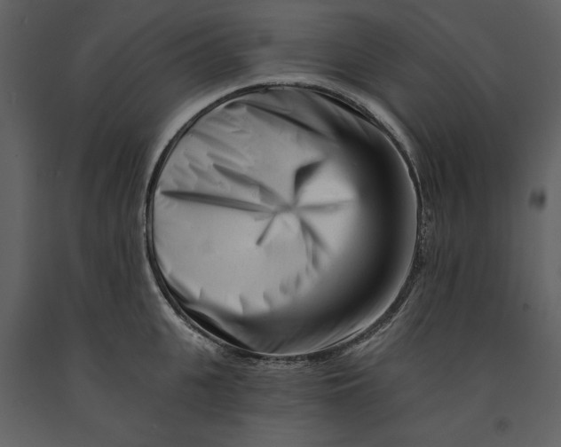 X0000090970951200708241312