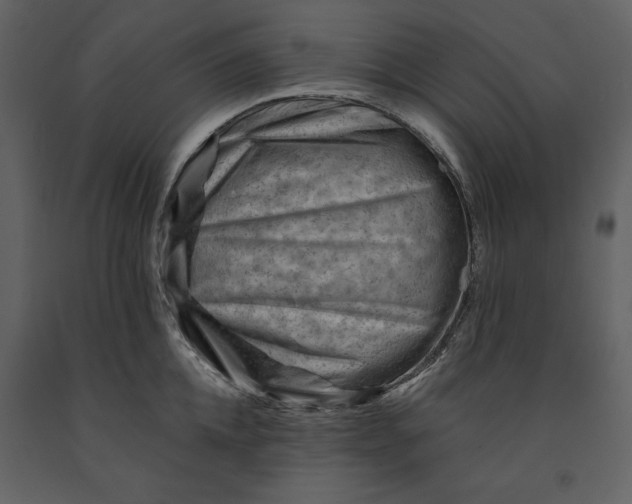 X0000090970952200708241312