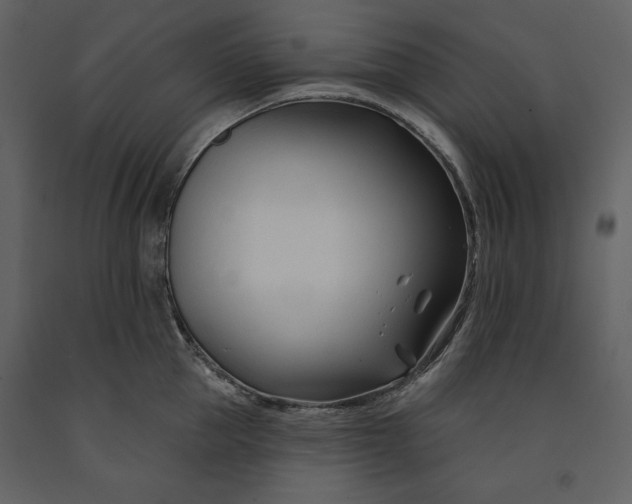 X0000090970953200708241312