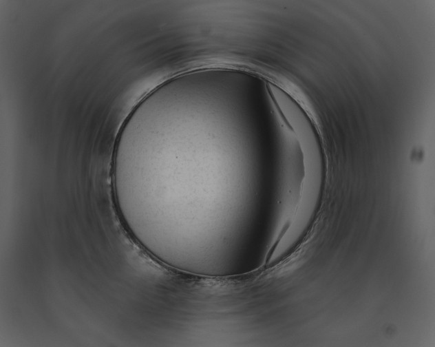 X0000090970954200708241312