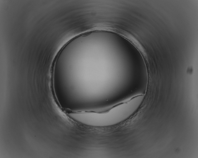 X0000090970955200708241312