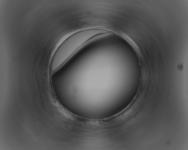 X0000090970956200708241312