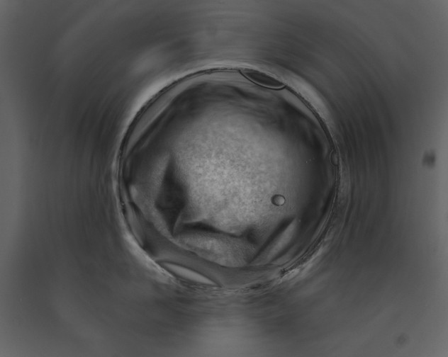 X0000090970958200708241312