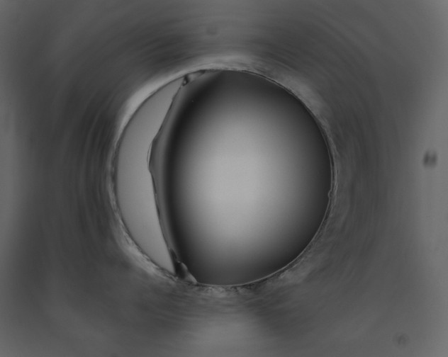 X0000090970960200708241312