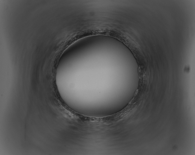 X0000090970961200708241312