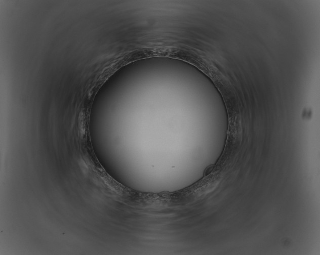 X0000090970962200708241312