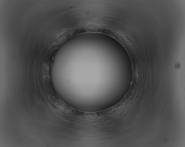 X0000090970964200708241312