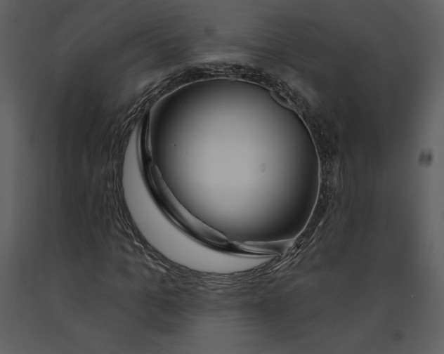 X0000090970965200708241312