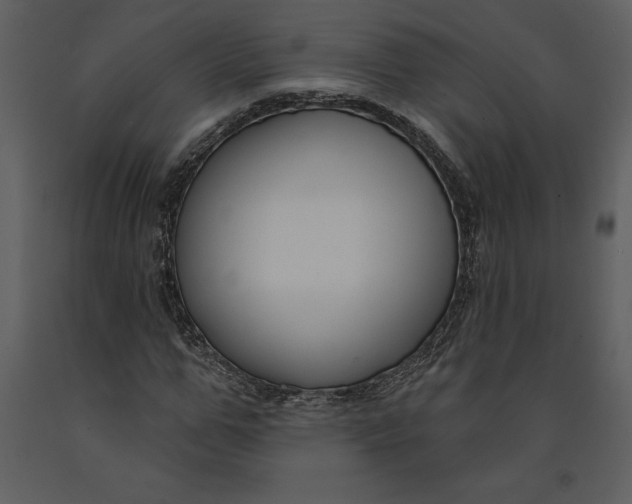 X0000090970967200708241312