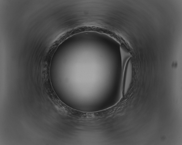 X0000090970968200708241312