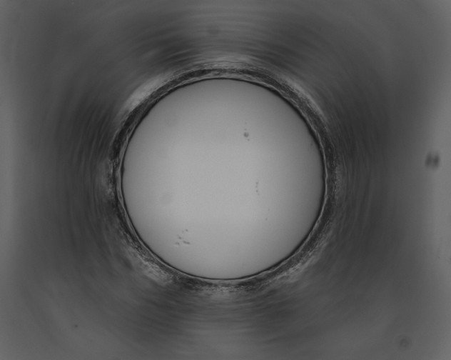 X0000090970970200708241312