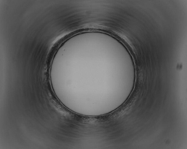 X0000090970971200708241312