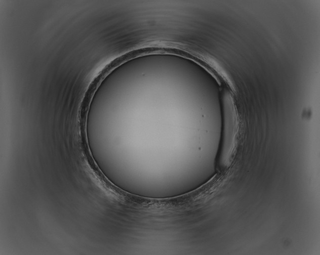 X0000090970972200708241311