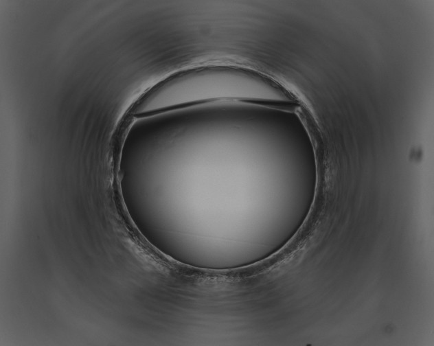 X0000090970973200708241311