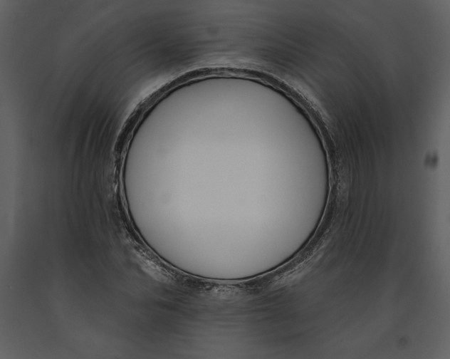 X0000090970974200708241311