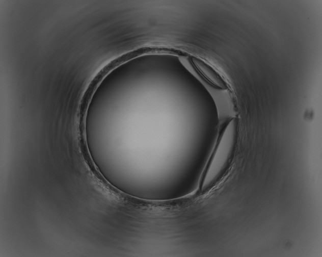 X0000090970976200708241311