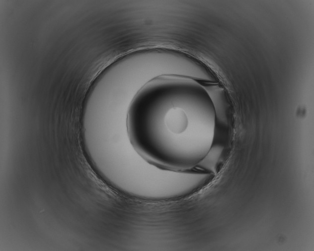 X0000090970977200708241311