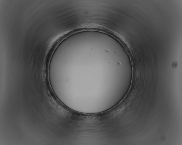 X0000090970979200708241311