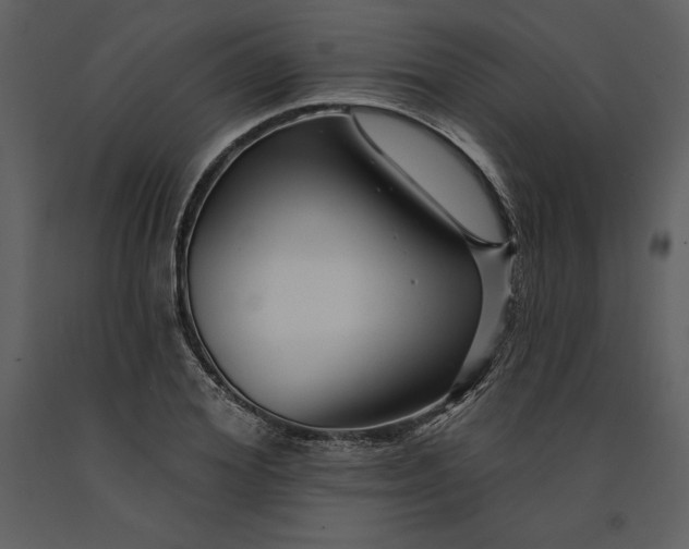 X0000090970980200708241311