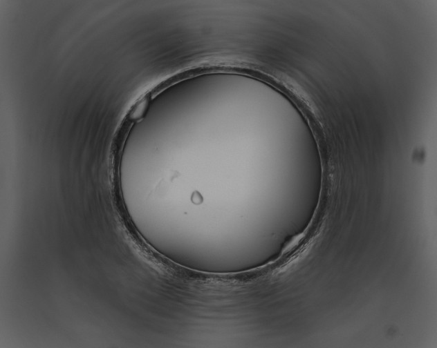 X0000090970981200708241311