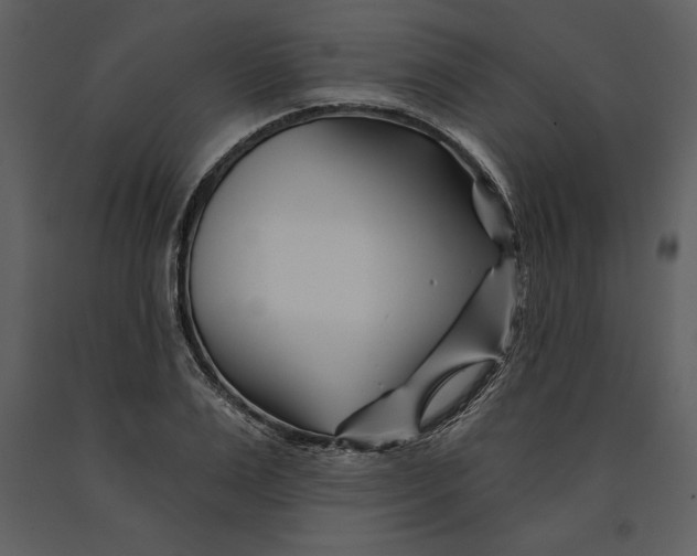 X0000090970983200708241311