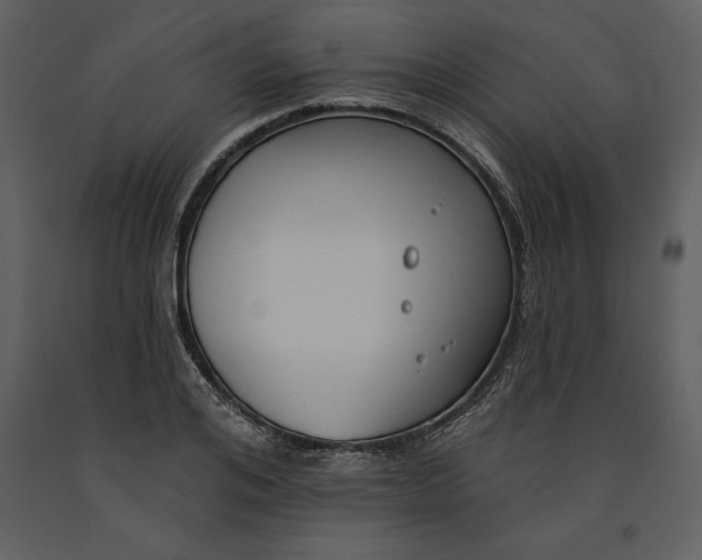 X0000090970984200708241311